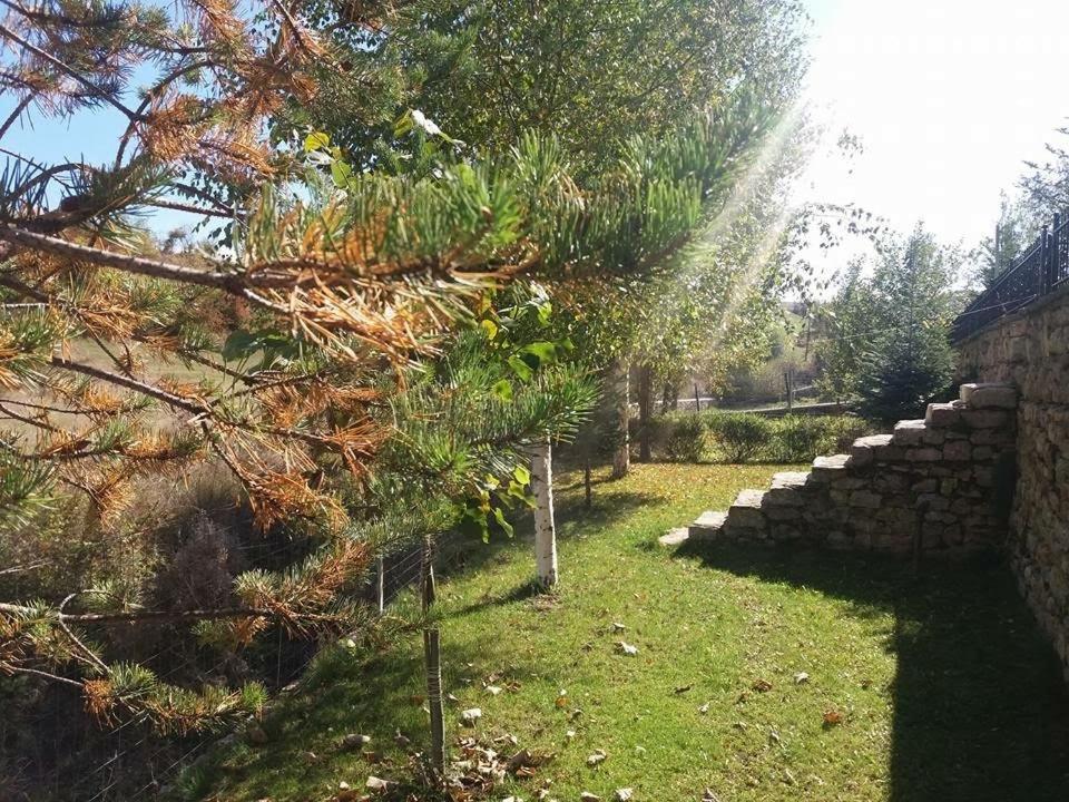 Vila118 Μοσχόπολη Εξωτερικό φωτογραφία